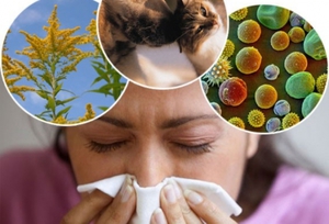 Аллерген, вызывающий дерматит, может быть как физической, так и химической природы