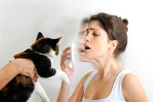 Как избавиться от аллергической реакции на кошку