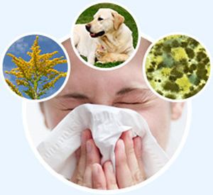 Типичные аллергены