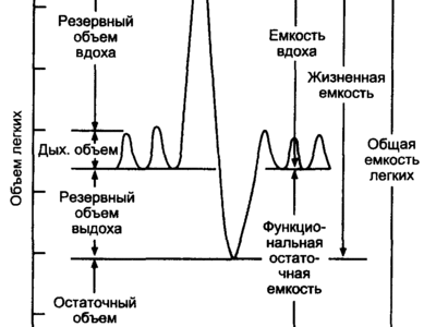 Инструкция По Проведению Спирометрии